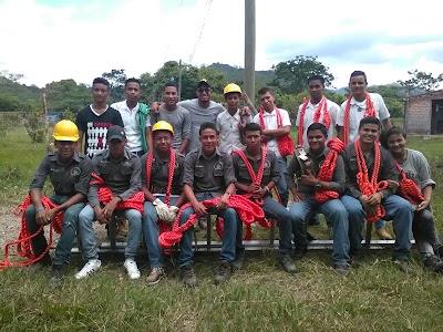 Photos of Brassavola digbyana Technical Institute