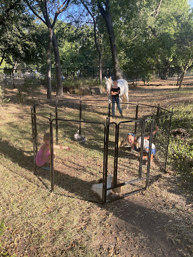 Micro Ranch Petting Zoo