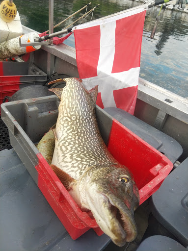Pêcherie Vulliet - Thumbnail