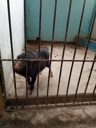 Photos of Tangguh Baruk
