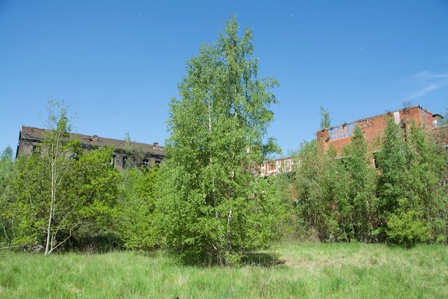 Fort de la chartreuse