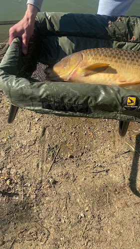 Reviews of Colchester Angling Preservation Society Ltd in Colchester - Association