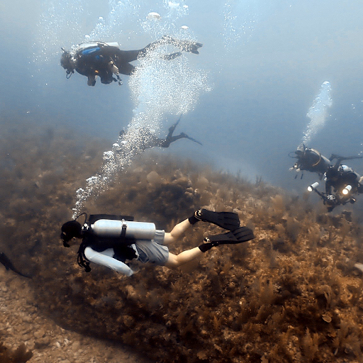 Yss Dive - Visual