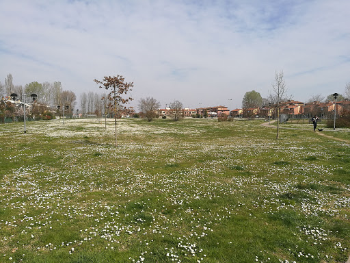 Parco Dello Sgambo - Visual