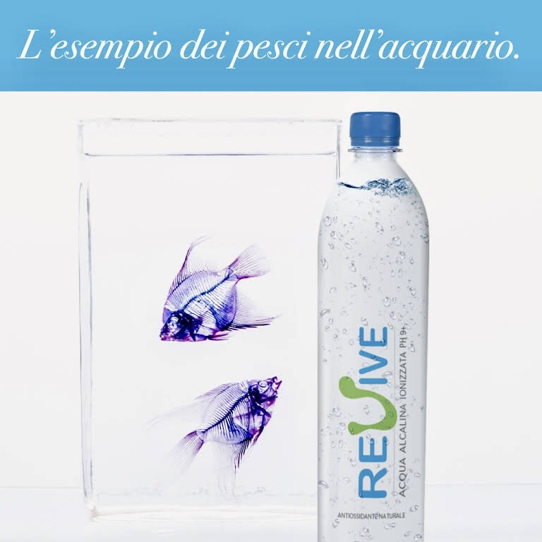 Acqua Revive - Acqua Alcalina Ionizzata PH+