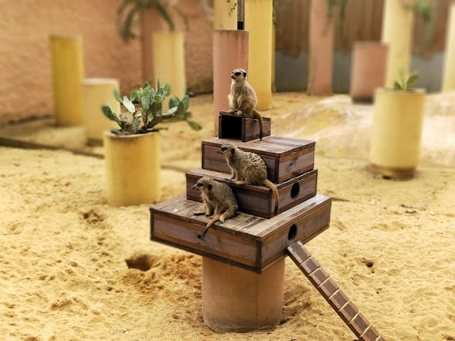 Zoo de Bordeaux-Pessac