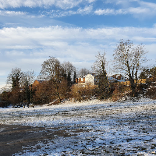 Cornwallis Park - Visual