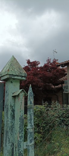 Comune di Torre San Giorgio Gallery - Italy