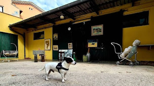 Photo n°2 de La Petite Brocante à Le Lavandou (Dépôt-vente)