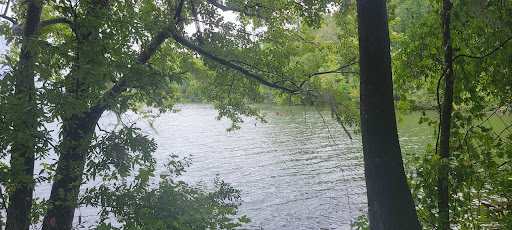 Greene's Pond Cabins & RV/Camper Park - Thumbnail