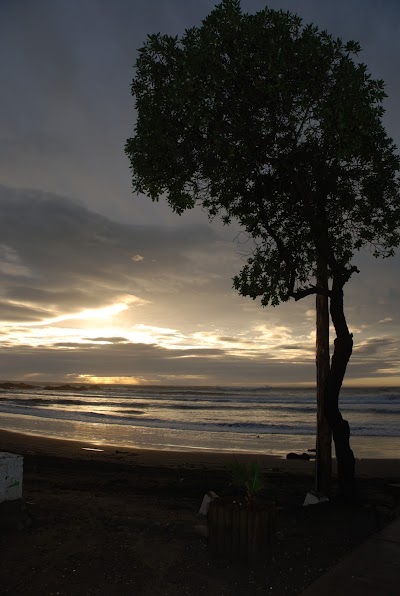 Photos of Surf Camp