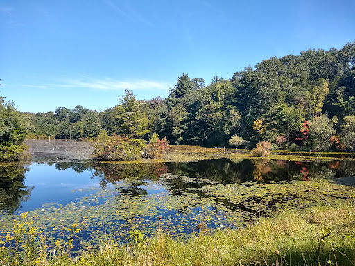 Black Hut State Management Area