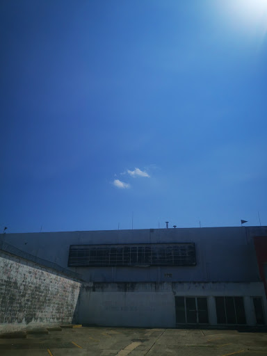 Rialfer - Visual