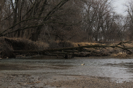 Mally's Weh-Weh-Neh-Kee Park - Thumbnail