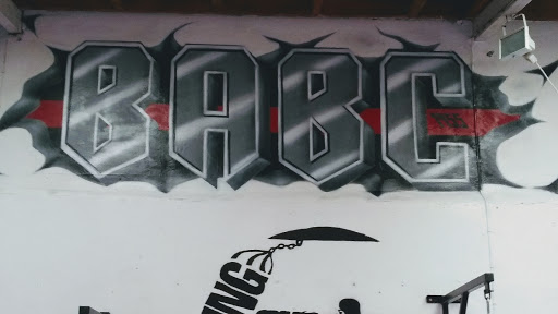 Barnstaple Amateur Boxing Club