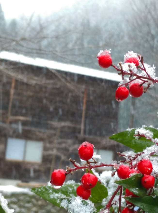 レンタルスペースきやすめ洞