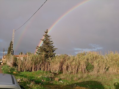 Photos of LES CYPR&Egrave;S
