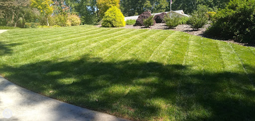 Friendly neighbor lawn Care LLC Logo