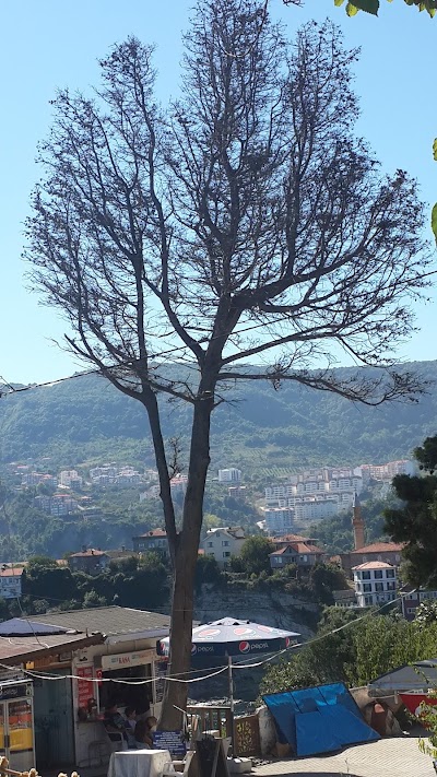 Photos of Amasra Belediyesi