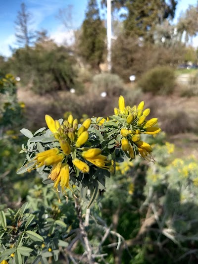 Granada Native Gardens