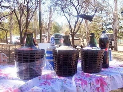 Photos of Club Volkswagen kombi escarabajo