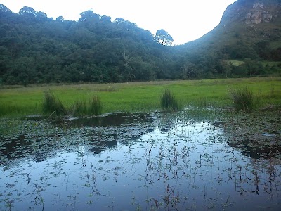 Photos of NUEVO MUNDO