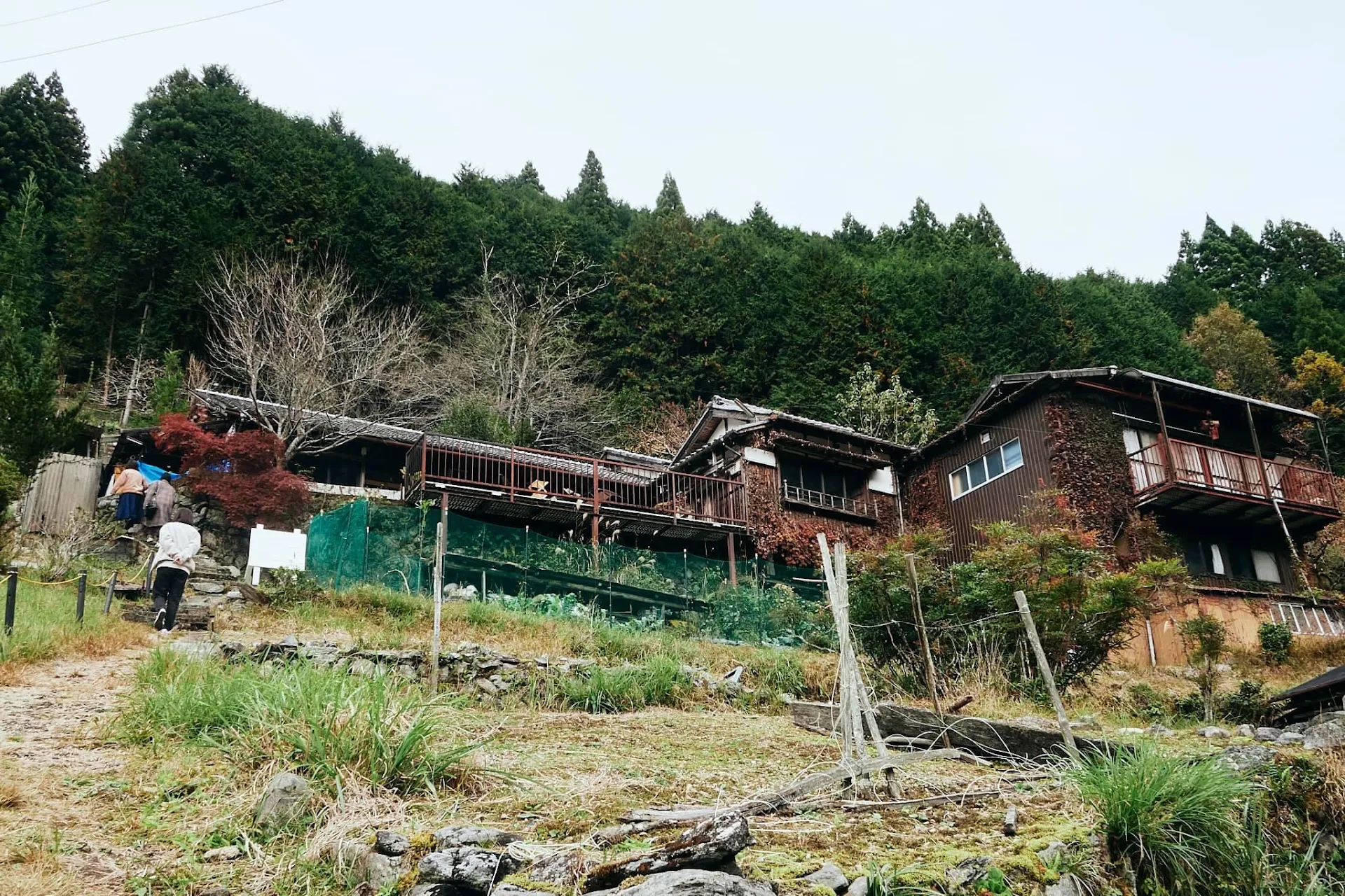 Rebe東吉野