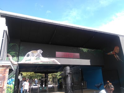 Photos of Odense Zoo