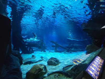 SEA LIFE at Mall of America