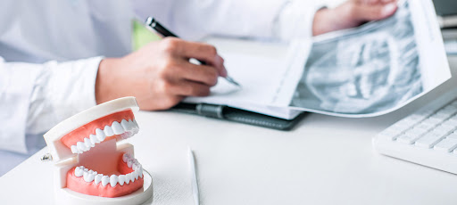 Dr. med. dent. Eleonore Knauer - Thumbnail