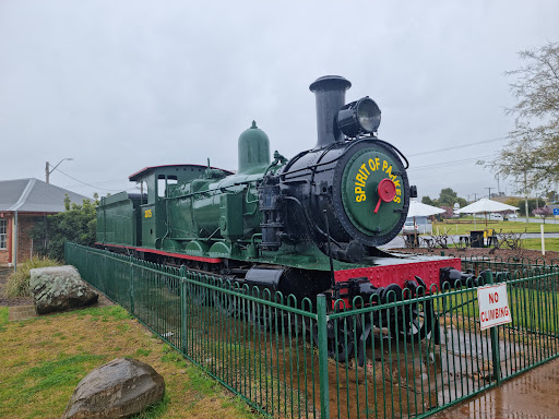 Spirit Of Parkes Train Logo