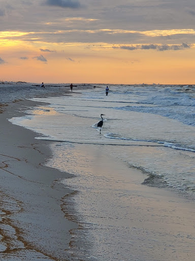 Johnson Beach National Seashore - Thumbnail