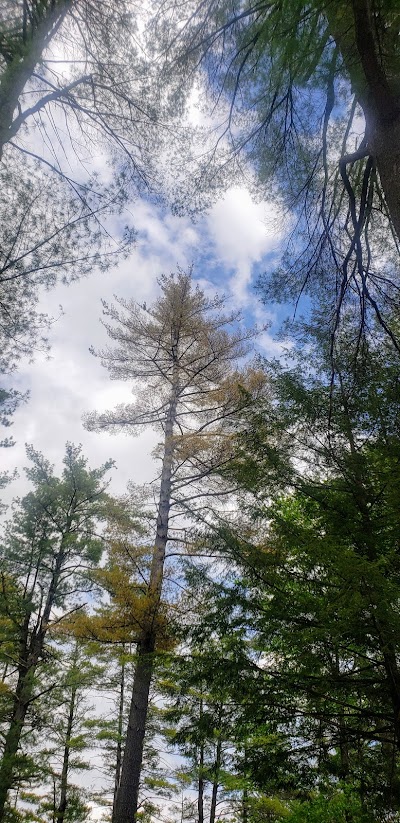 Lake George Riverview Campground