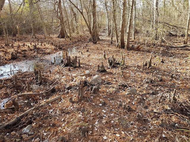 Parc de l'Ancienne Poudrerie de Saint-Chamas Miramas