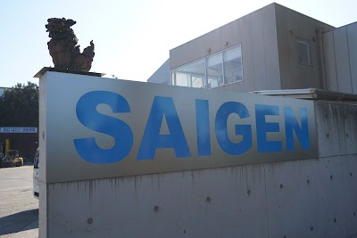 SAIGEN GROUP
