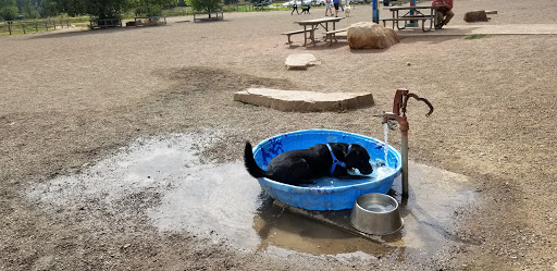 Louisville Community (Dog) Park - Thumbnail