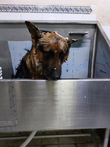 Clínica Veterinaria del Valle