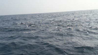 Photos of Hosanna Kite Beach Resort