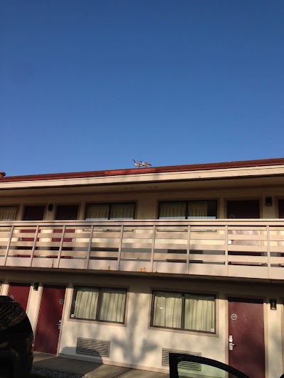 Photos of Red Roof Inn Detroit- Auburn Hills/Rochester Hills