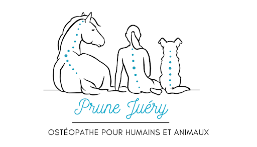 Prune Juéry - Ostéopathe pour humains et animaux à domicile - Thumbnail