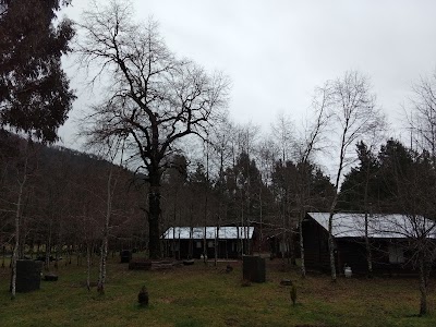 Photos of Among Hualles And Pellines