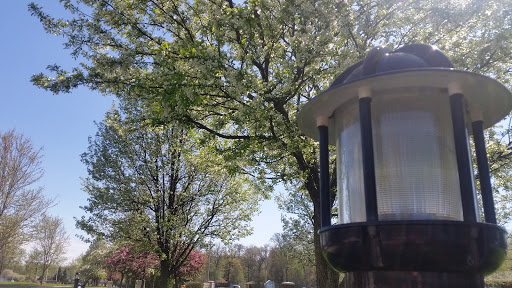 Frank Gilbert Jr. Memorial Park - Thumbnail