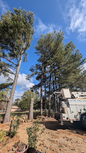 Brasfield Tree Trimming