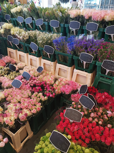 ORANJE BLUMEN - Thumbnail