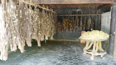 Photos of Silk Island