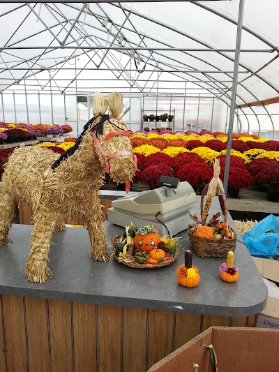 Photos of Shady Maple Farm Market