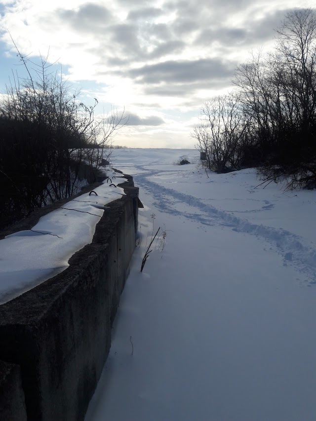 Quarry Run Dog Park