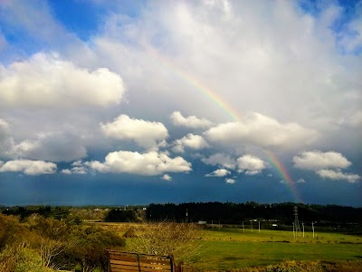 Humboldt Bay Mobile Estates