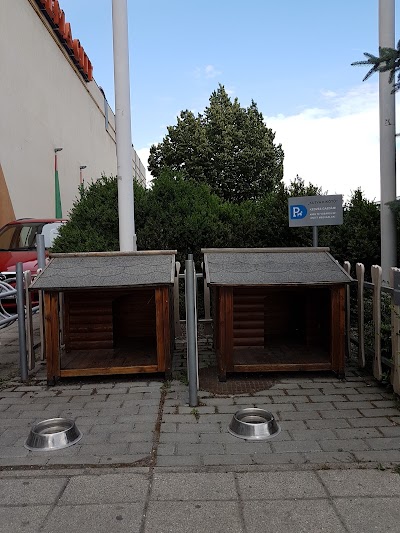 Photos of Zala Plaza