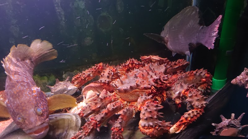 季節の鮮魚·鮮菜 五島丸(ごとうまる)